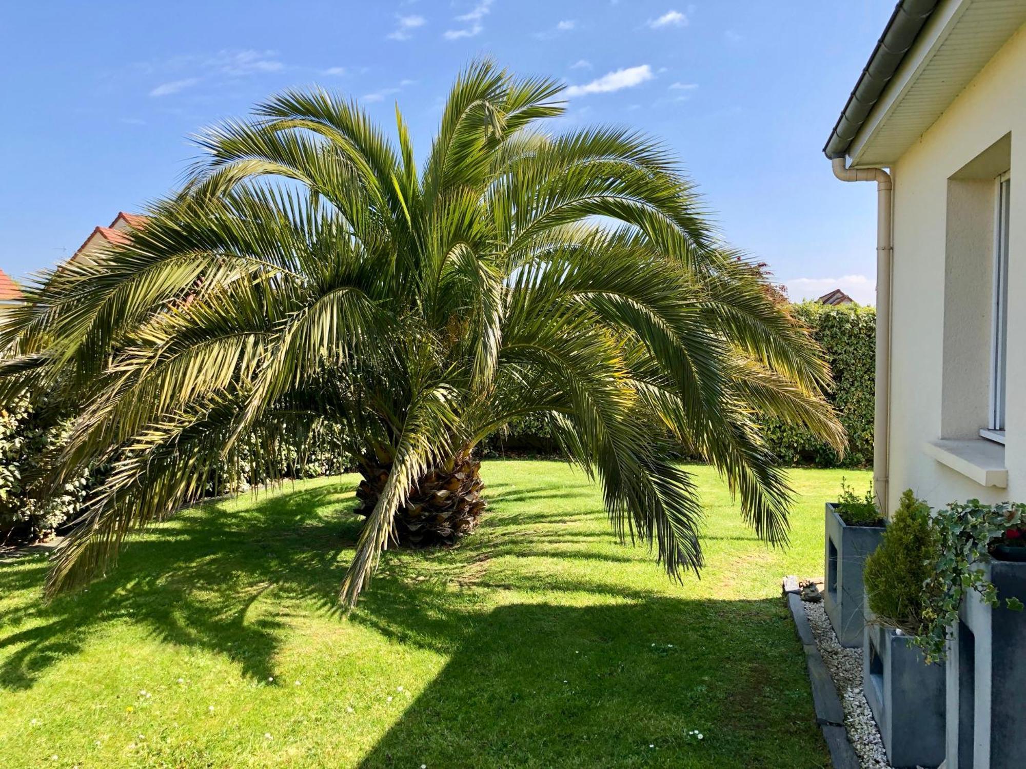 Les Palmiers Gite 7 Personnes Plages Du Debarquement Grandcamp-Maisy Exteriér fotografie