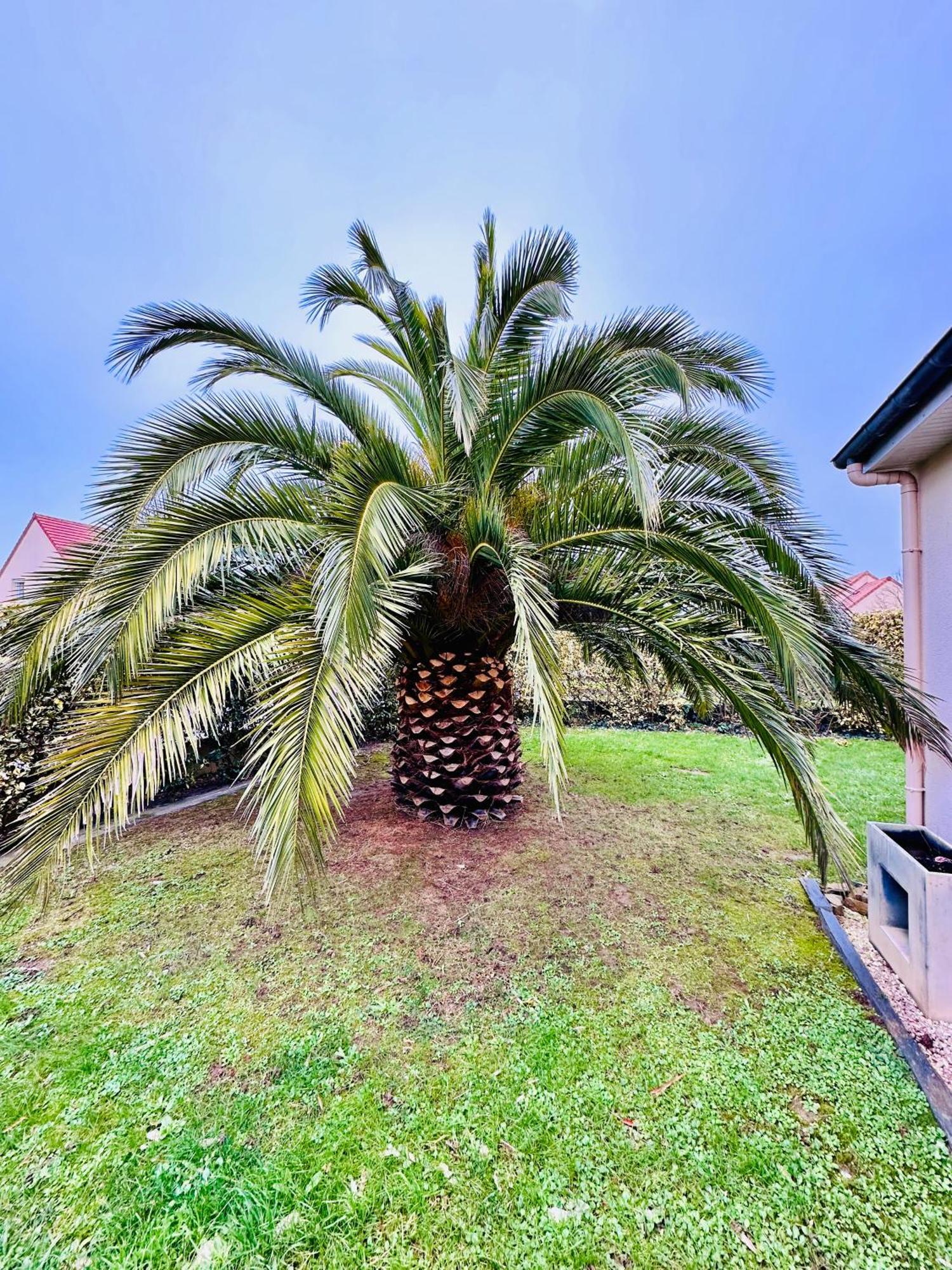 Les Palmiers Gite 7 Personnes Plages Du Debarquement Grandcamp-Maisy Exteriér fotografie
