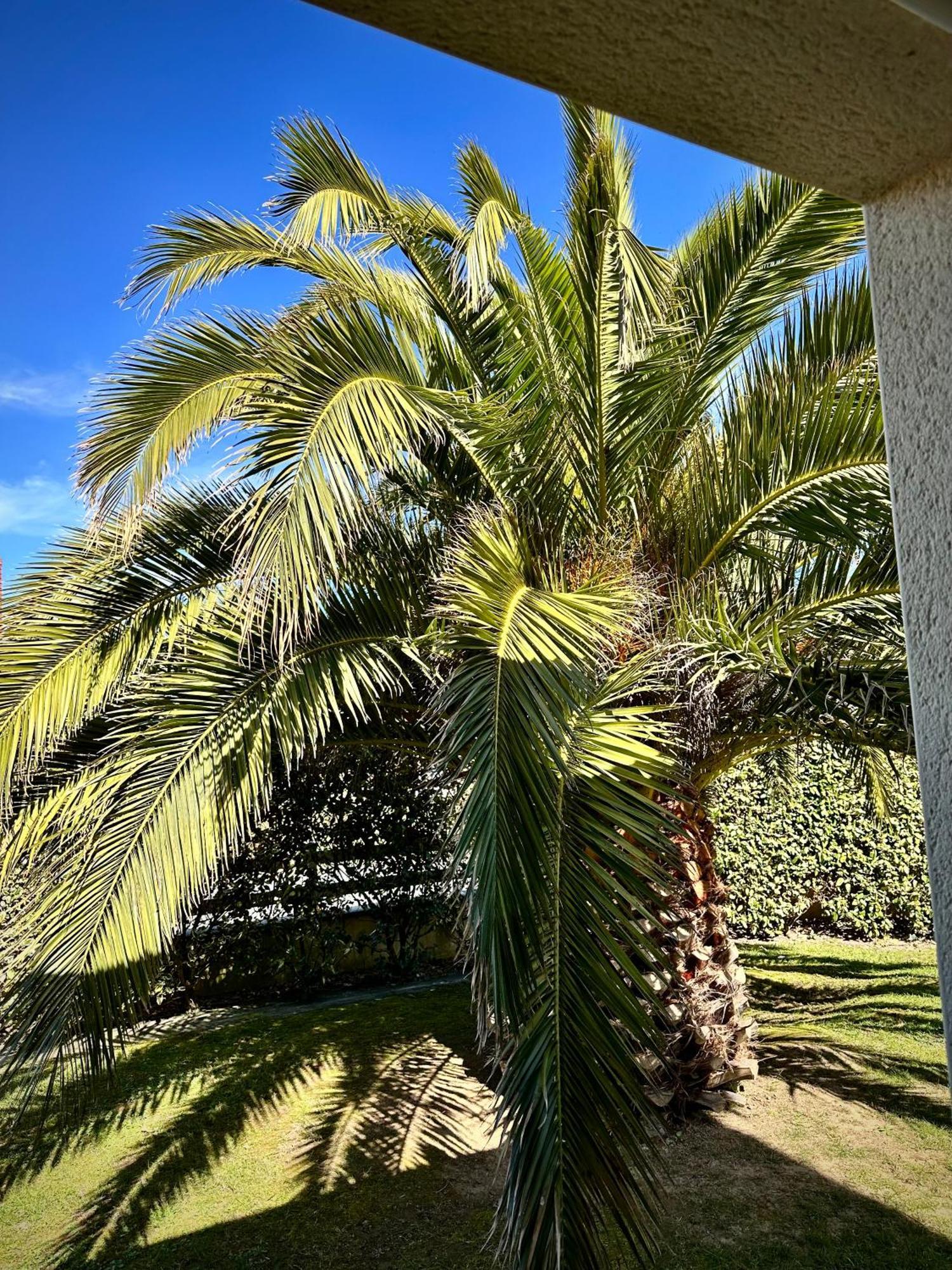 Les Palmiers Gite 7 Personnes Plages Du Debarquement Grandcamp-Maisy Exteriér fotografie